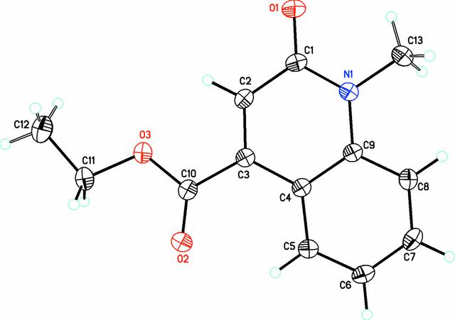 [Figure 1]