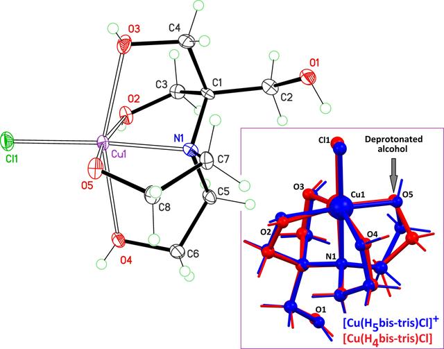 [Figure 1]