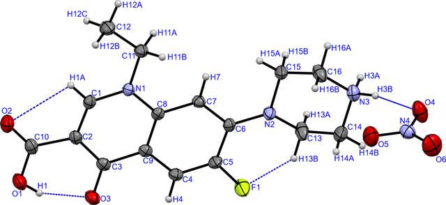 [Figure 1]