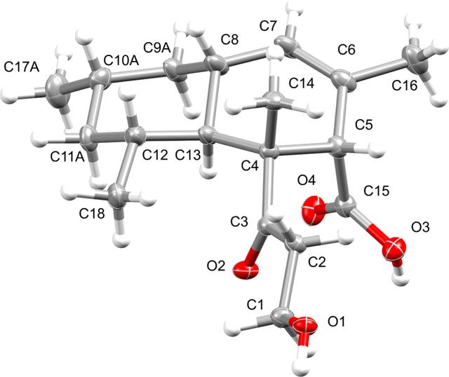 [Figure 1]