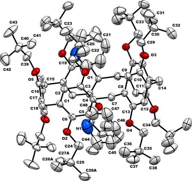 [Figure 1]