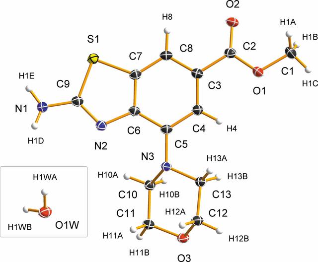 [Figure 1]