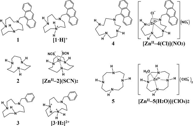 [Figure 1]