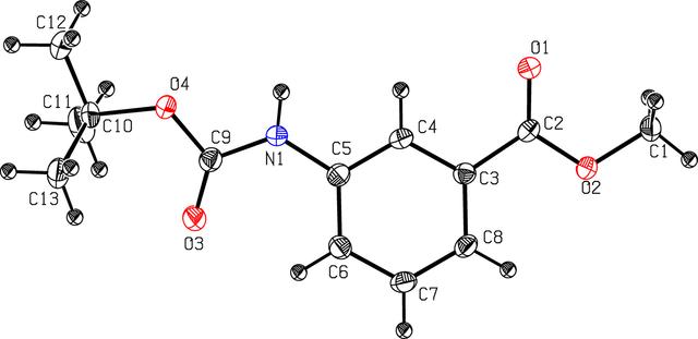 [Figure 1]