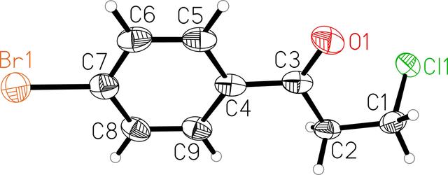 [Figure 1]