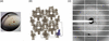 [Figure 2]