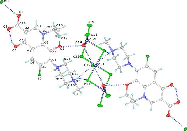 [Figure 1]