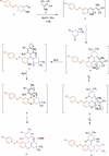 [Figure 1]