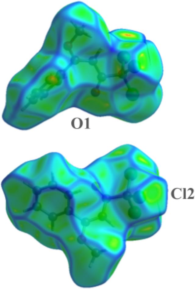 [Figure 8]