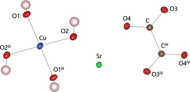 [Figure 1]