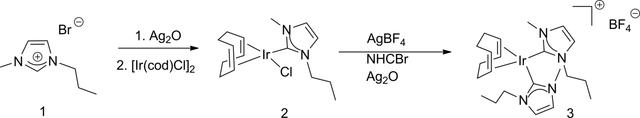[Figure 4]