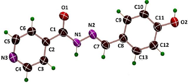 [Figure 1]
