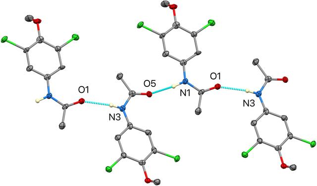 [Figure 4]