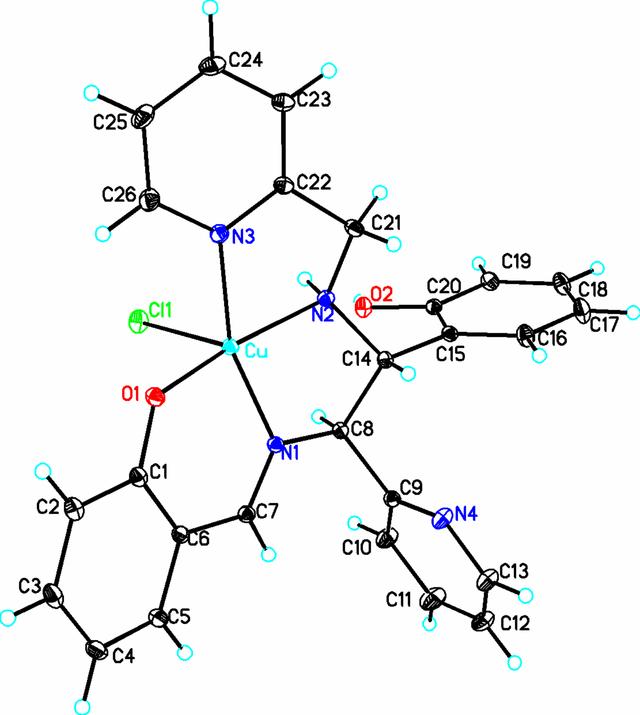 [Figure 1]