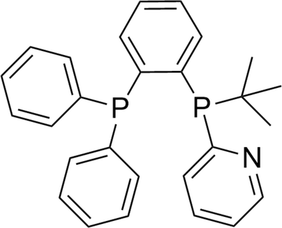 [Scheme 1]