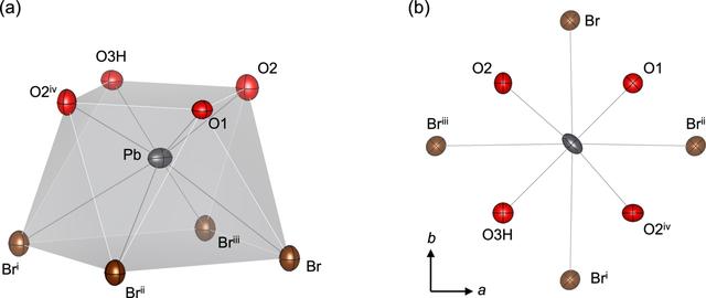 [Figure 1]
