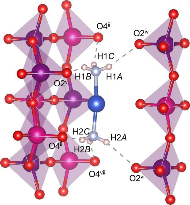 [Figure 3]