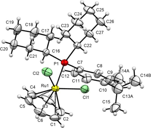 [Figure 1]